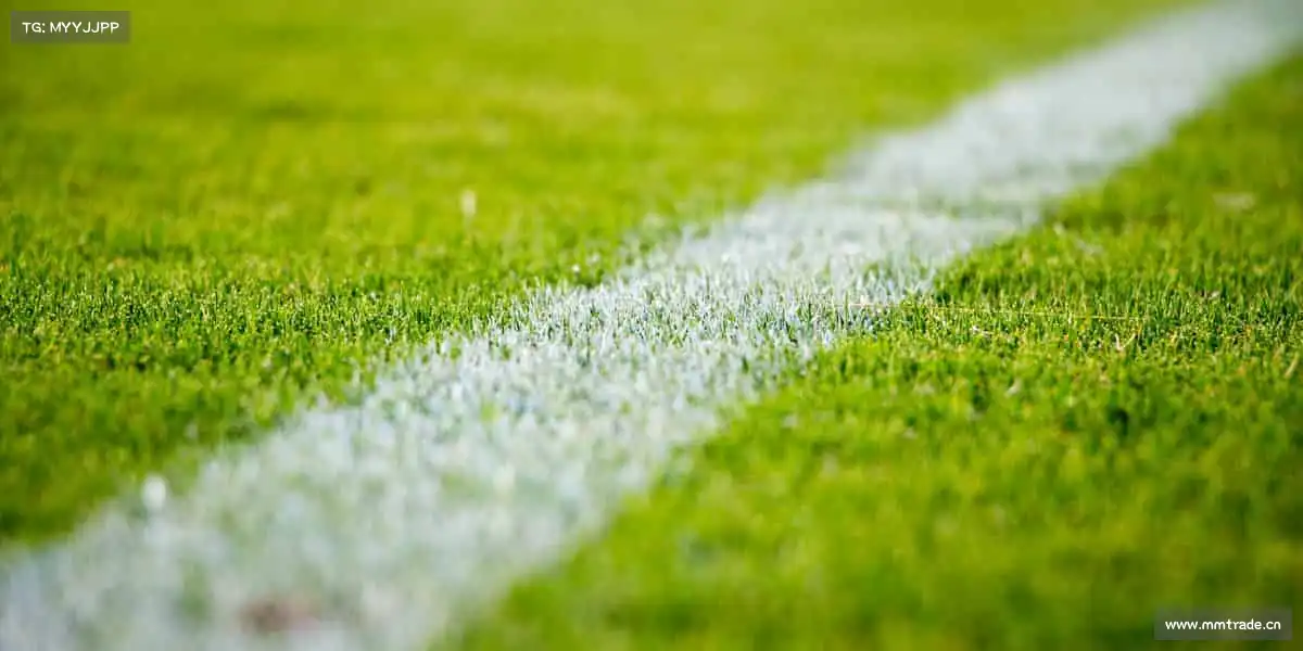 行业领先的理由